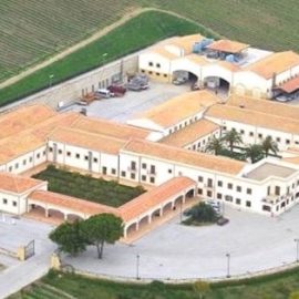 Sequestro di vigneti del Sud di un Tribunale del Nord