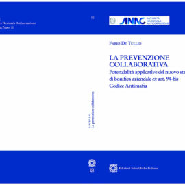 WORKING PAPER N. 10 DELLA COLLANA SCIENTIFICA ANAC